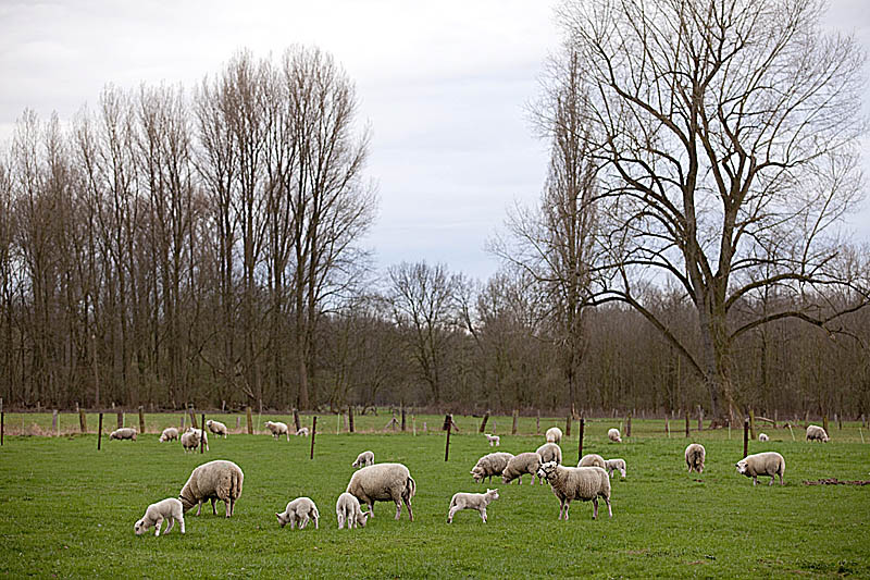 Krefeld Niederrhein &ndash; idyllische Seidenstadt als Hochzeitsstandort